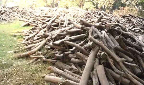 अंतिम संस्कार के लिए