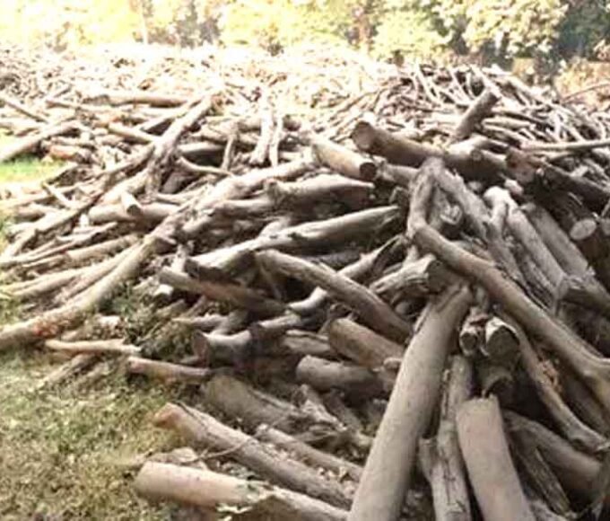 अंतिम संस्कार के लिए