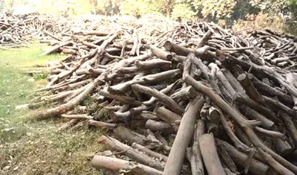 अंतिम संस्कार के लिए