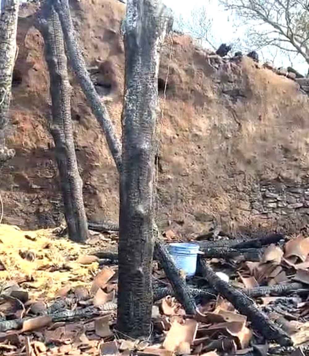 : खेत के मकान में लगी