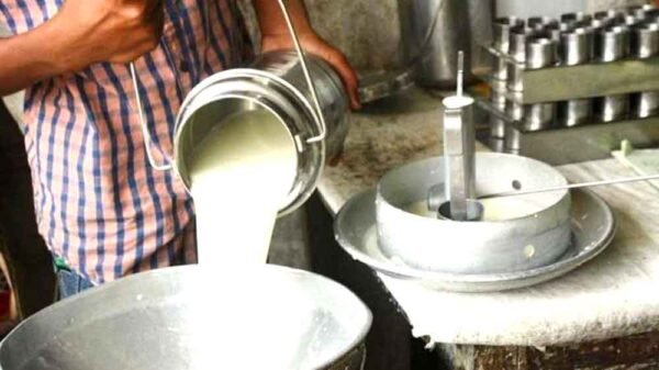 दुनिया में सबसे बड़ा दूध उत्पादक भारत