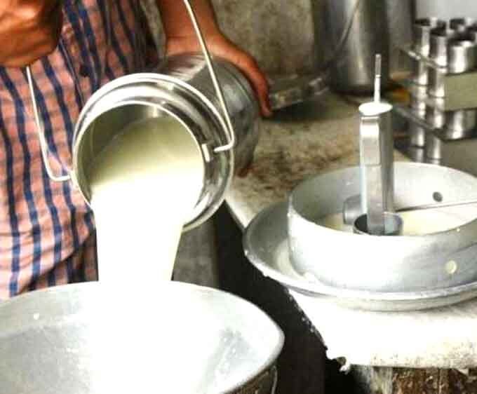 दुनिया में सबसे बड़ा दूध उत्पादक भारत