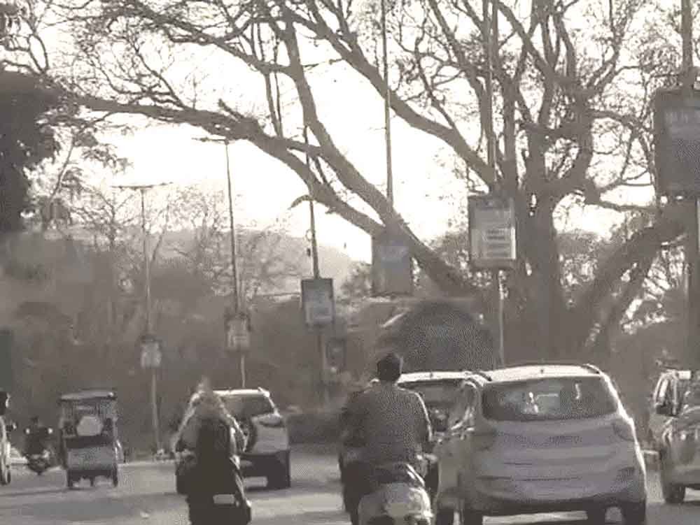 मध्य प्रदेश में मौसम बदला: तेज गर्मी