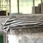 जहर खाने से युवती