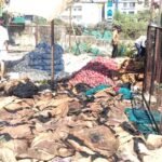 मंडी के गोदाम में लगी आग, लहसुन