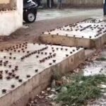 29 मार्च से बदलेगा मौसम: मध्य प्रदेश में