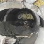 दो दिन पाइप में फंसी रही मादा डॉग