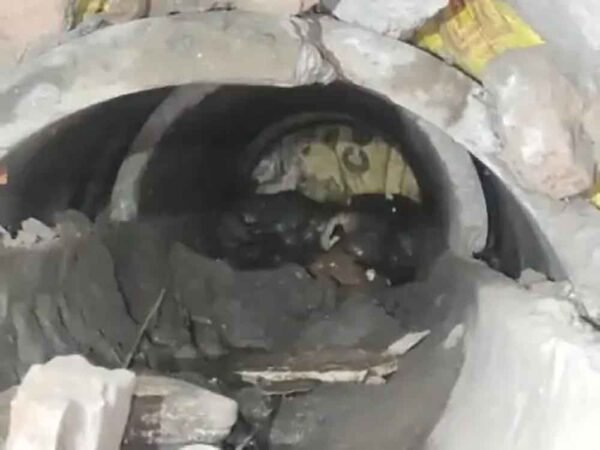 दो दिन पाइप में फंसी रही मादा डॉग