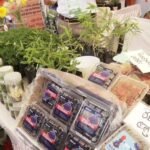 किसान कल्याण वर्ष’ अभियान: किसानों