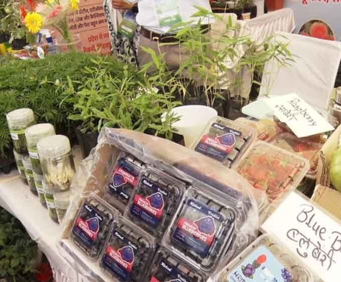 किसान कल्याण वर्ष’ अभियान: किसानों