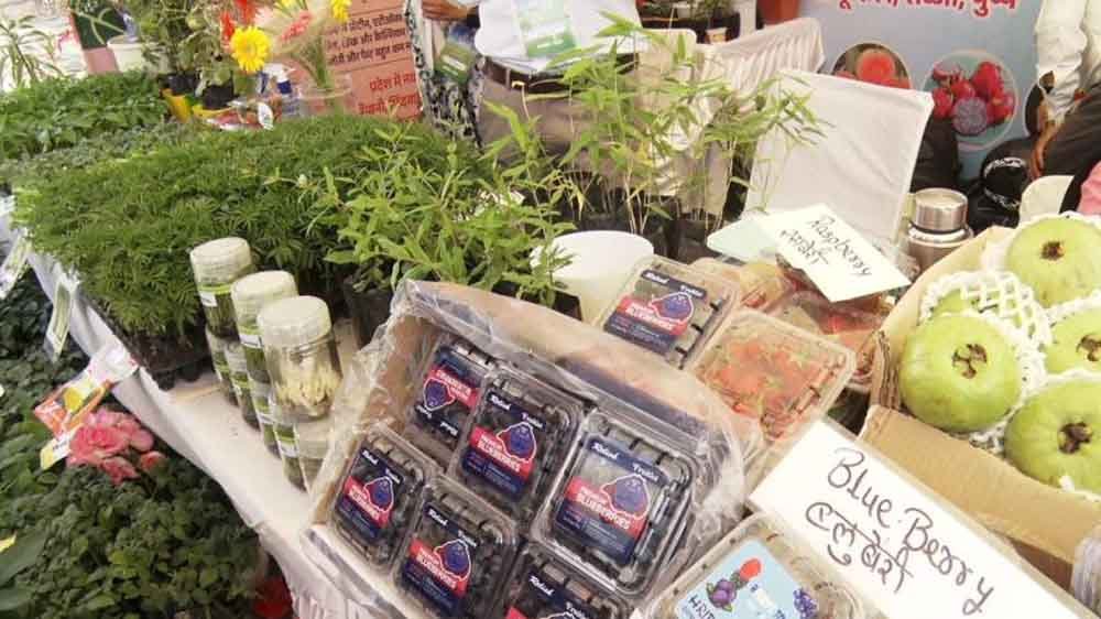 किसान कल्याण वर्ष’ अभियान: किसानों