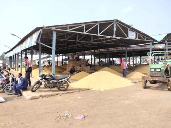 कृषि उपज मंडी 4 दिन बंद: किसानों को