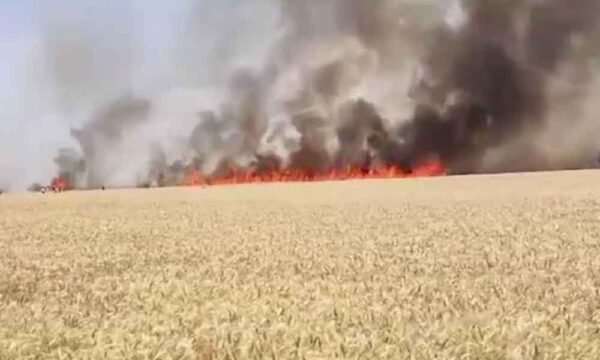 भीषण आग से 50 एकड़ गेहूं की