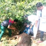 नंदी की मौत पर हंगामा: इलाज में लापरवाही