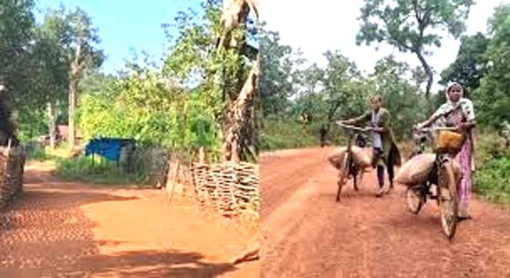 नक्सल प्रभावित 100 गांवों की बदलेगी तस्वीर