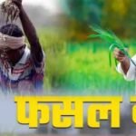 फसल बीमा का लाभ