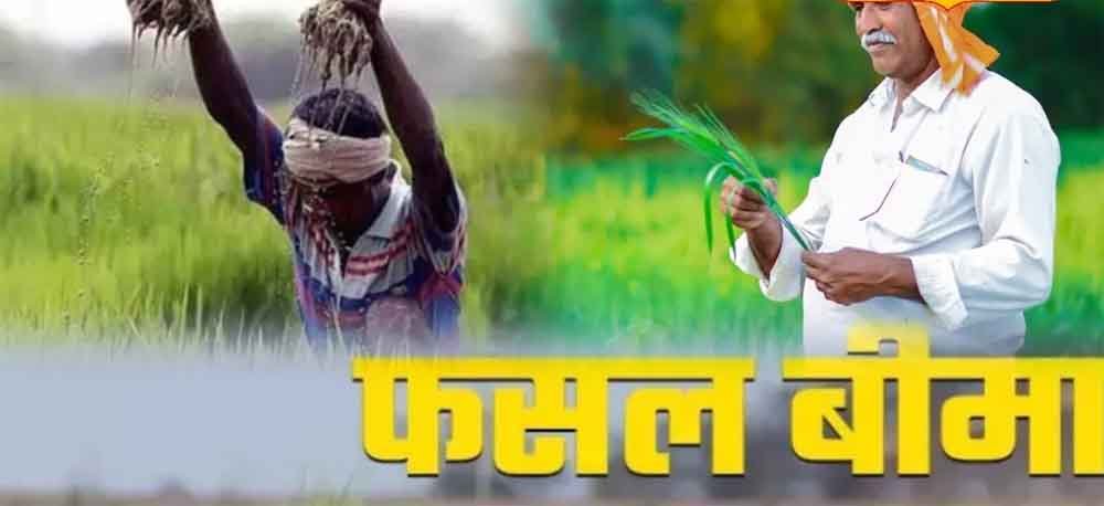 फसल बीमा का लाभ